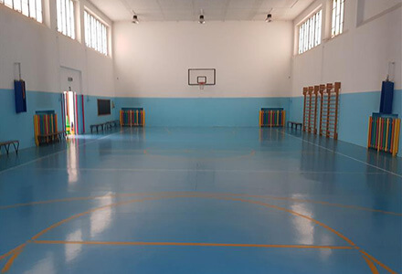 Palestra Galli